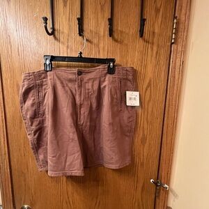 NWT Falls Creek pleated shorts. Size 22W. These shorts are super cute! $12